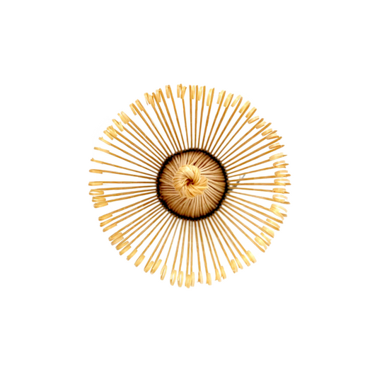 Chasen - Bamboo Whisk